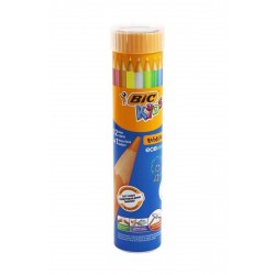 Bic Evolution Kuru Boya Kalemi 12+1'li Metal Tüp