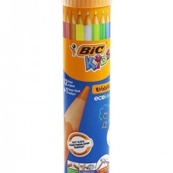 Bic Evolution Kuru Boya Kalemi 12+1'li Metal Tüp