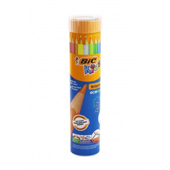 Bic Evolution Kuru Boya Kalemi 12+1'li Metal Tüp