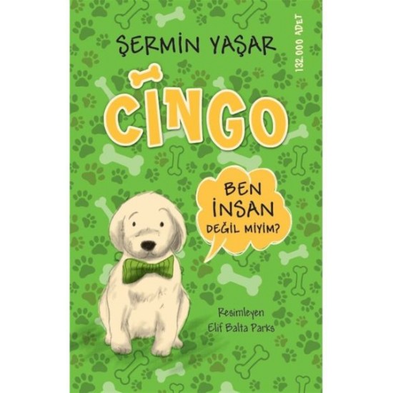 Cingo-ŞERMIN YAŞAR