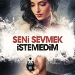 Seni Sevmek İstedim Ciltsiz-FATIH MURAT ARSAL