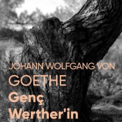 Genç Wertherin Acıları Fotoğraflı Klasikler-JOHANN WOLFGANG VON