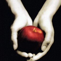 Alacakaranlık Alacakaranlık Serisi 1. Kitap- STEPHENIE MEYER