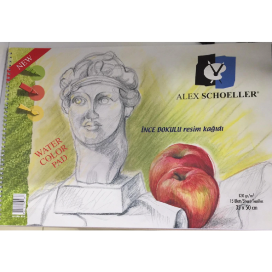 Alex Schoeller Spiralli Resim Defteri 35 x 50Cm 120Gr 15 Yaprak