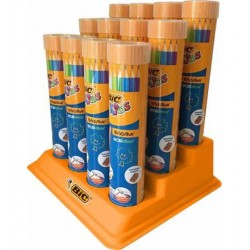 Bic Evolution Kuru Boya Kalemi 12+1'li Metal Tüp