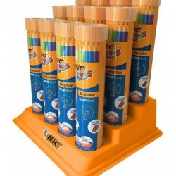 Bic Evolution Kuru Boya Kalemi 12+1'li Metal Tüp