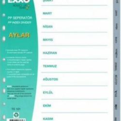 Exxo Pp Seperatör Aylar Gri Ocak-Aralık