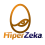 Hiper Zeka Yayınları