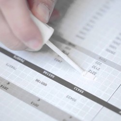 Rapid Tipp-Ex Sıvı Silici Sünger Fırçalı