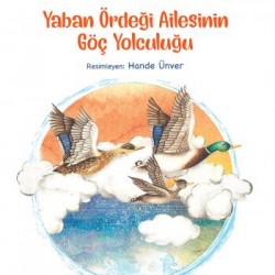 Yaban Ördeği Ailesinin Göç Yolculuğu-ÖMER KURT